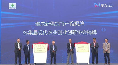 縣域商業(yè)圖譜再落一子 肇慶懷集借力京東技術(shù)推廣破局升級(jí)之路