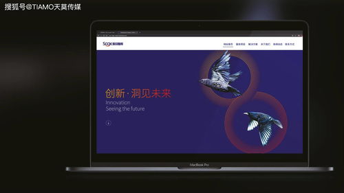 數據驅動力 互聯網大數據智庫公司如何通過品牌標識設計優化資源配置效率